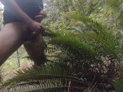 Cum on guys 2- Cum on a fern. What else would you like to see me cum on