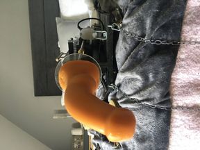 Dildo blowjob - Sucking dildo - tied to fuck machine