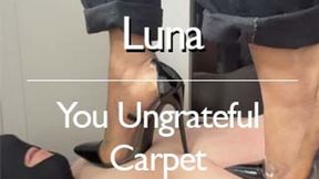 You Ungrateful Carpet