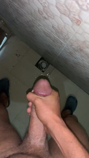 Jerking off in Office Toilet