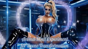 Aroma Mind Experiment for Drone Transformation