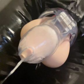 Leaking Thick Cum in Chastity