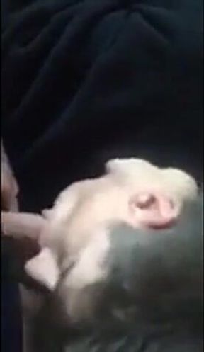 Passionate Blowjob by Paddy