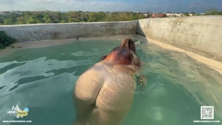 Poolside Creampie with Underwater Blowjob on Vacation - Horny Hiking ft. Molly Pills - POV 4K