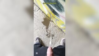 Public Teenage Palm Free-for-all Urinating on Wall