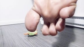 I play with plushes, barefoot (2025)