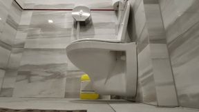 Painfull toilet visit - loud groans while my boss is working behind a wall