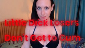 Little Dick Losers Don't Get to Cum