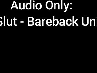 Audio Merely: Campus Floozy- Bareback University