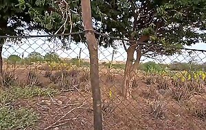 Proserpina, cabo verde production