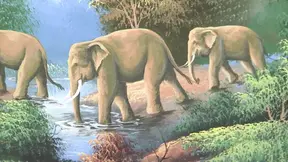 White woman gets drilled by black stud