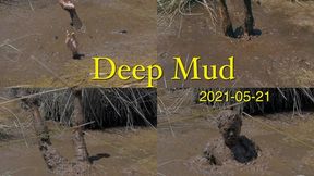 Deep Mud, 2021-05-21