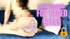 Chastity Pillow Humping Session - Beta Safe