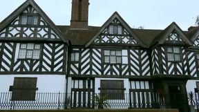 The Tudor Lounge - a MILF's Playground