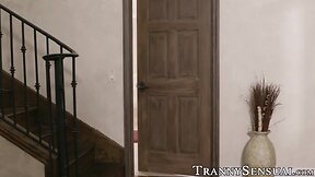 Irresistible ts Audrey Kate seduces and drills inked stud