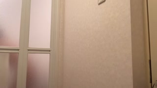 寝起きのイケメンM男に手コキフェラ騎乗位責めしたら寝バックで生中出しされました。japanese amateur wake up morning sex - えむゆみカップル