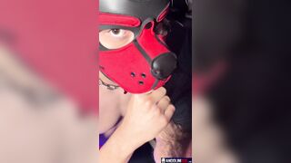 Andolini feeds his lil puppy Theo with NAWTY sweets