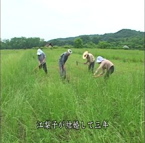 P139G02 A sad erotic drama set in the early Showa period in the suburbs of Kanto, about an only daughter of a temple and the heir to a farmer, who never end up together.