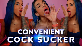 Convenient Cock Sucker