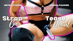 Sensual Tease with a Strap on