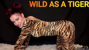 WILD AS A TIGER