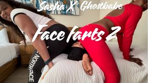 Double Gassy Maintenance Mishap – The Complete Visit