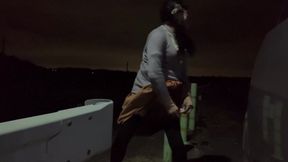 Self-training No. 32: Nighttime Walk with the Woof-woof Pose