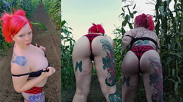 Fun in a cornfield