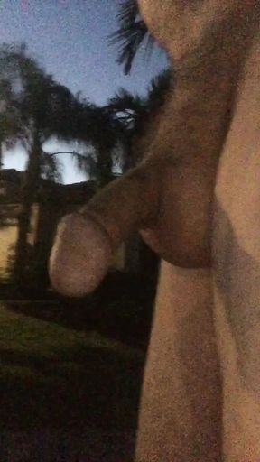 Naked In My Driveway