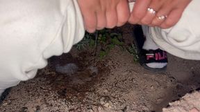 compilation of public pissing in nature! showing pads! pov!