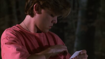 Crritters.4.1992.Movv vie