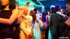 Alluring Brides at Sexy Group Fuck Party