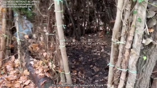 STRANGER CHALLENGE - I get fucked by an UBER driver and swallow everything from his condom