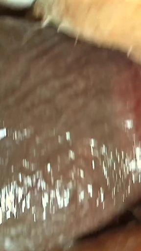Extreme Close Ups of Cock Rubbing Pussy, Penetration, Fucking, Creampie and Big Juicy Ass Shaking - BBW SSBBW Dripping Pussy