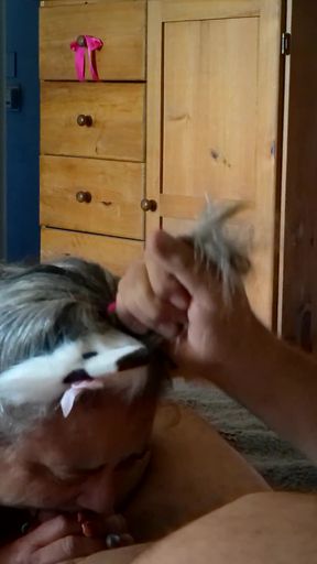 Kitty Meow Meow