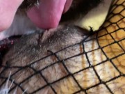HANDJOB CUM ON TITS MAMA NOEL