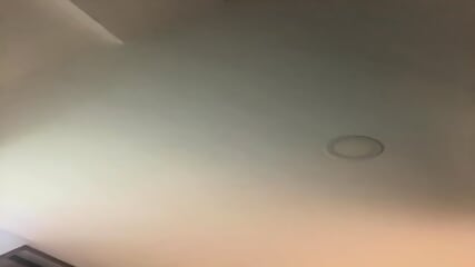 Curly Finally Got The Hair Wet