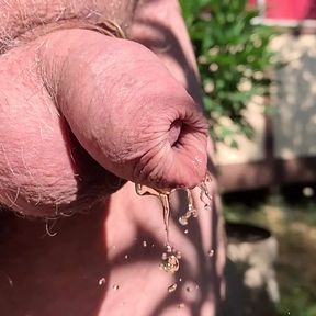 Uncut cock pissing through wet foreskin in the garden