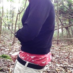 Public masturbation in the woods, showing a nice sag in my Hollister boxers and cargo shorts.