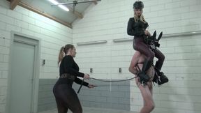 shoulder riding leading ponyboy training
