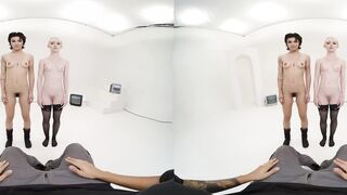 VR Conk Which Vagina Do You Choose VR Porn