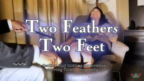 Two Feathers Two Feet 4K