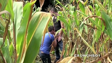 flat boy fucked outdoor in public field