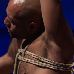 Wilfried Knight - Leo Forte's Dream Comes True