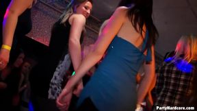 Partyhardcore - 2017-11-08