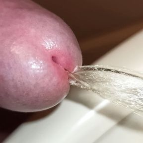 Extreme close-up of uncut cock, pissing!