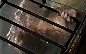 Escape artist 2