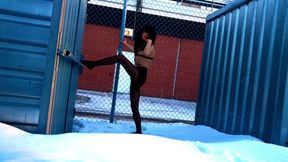 Frozen Meat