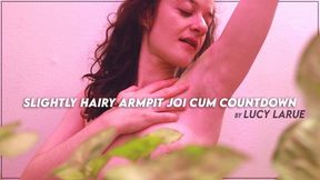 Slightly Hairy Armpit JOI Cum Countdown