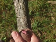 Wichsen im Wald